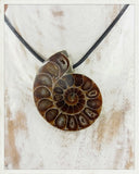 Colgante de ammonites perforado