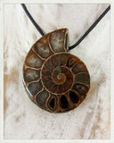 Colgante de ammonites perforado