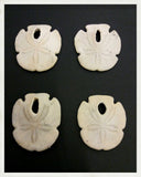 Erizos fósiles (Sanddollar)