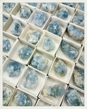 Celestinas pequeñas